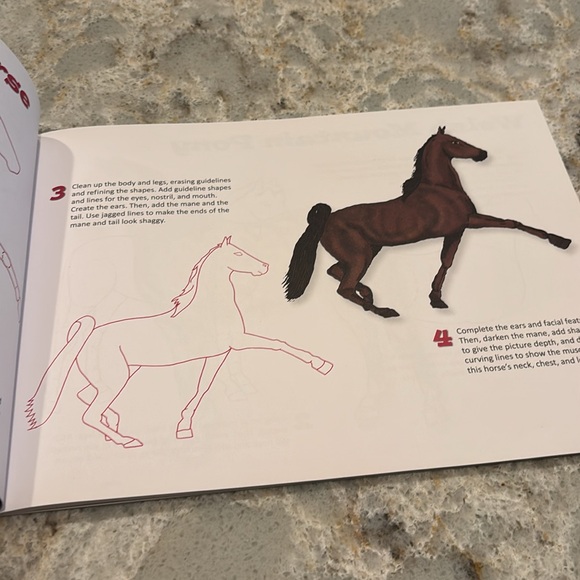 How to Draw! Horses.   Kids art book - Picture 3 of 4